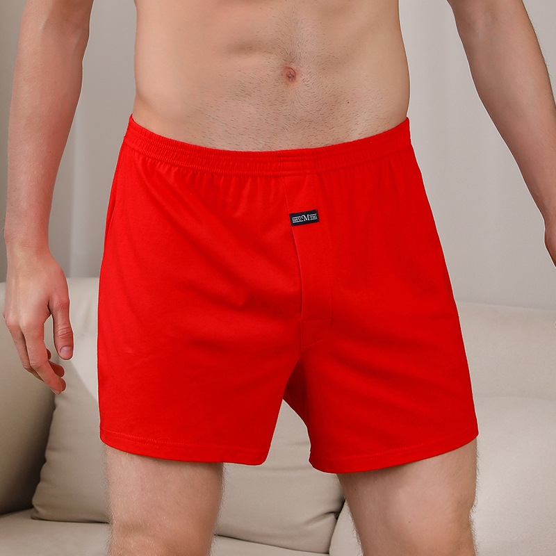 1PCS Men's Underwear Aro Pants - Boxer Brief Pack Cotton review and price