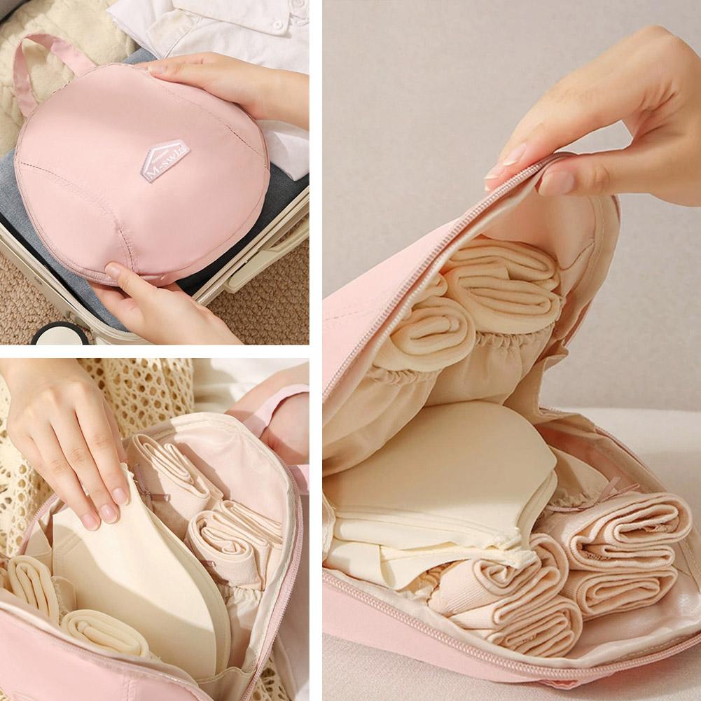 Shell Bra Underwear Organizer  - Multi Pack Underwear review and price